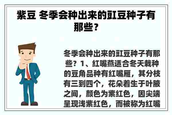 紫豆 冬季会种出来的豇豆种子有那些？